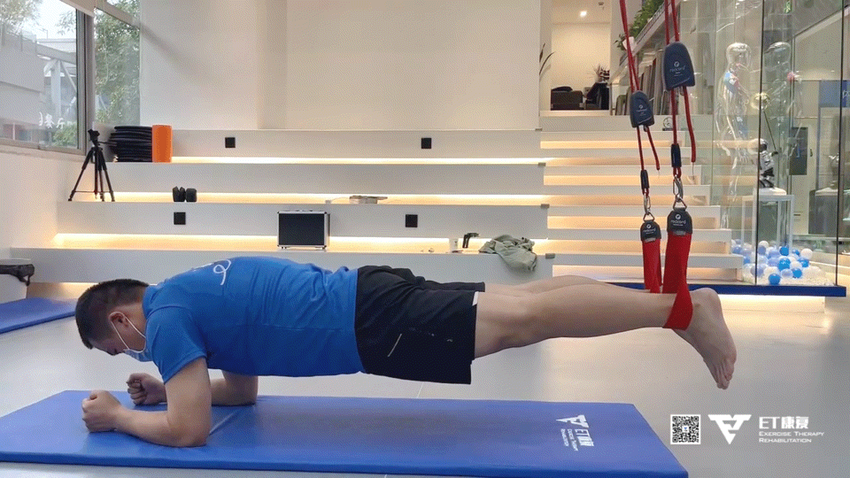 悬吊训练系统 怎么装腰痛康复神器！挪威红绳悬吊训练系统Redcord_https://www.jmylbn.com_新闻资讯_第9张