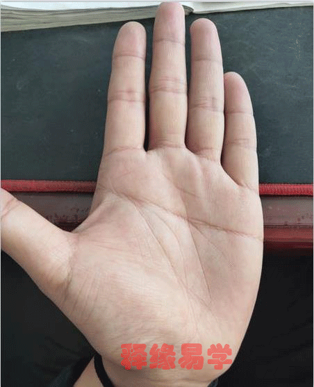 相学案例：如何从手掌看出中年事业和感情运势？【动图版】（手相怎么看自己的事业运）