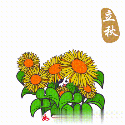 8月7日周五立秋清晨早上好问候祝福动态表情图片立秋最新早安问候祝福图片带字温馨 早上好表情动态 微信公众号文章阅读