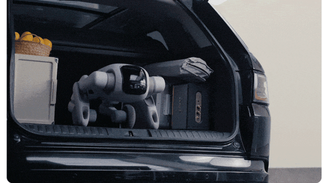 640.gif