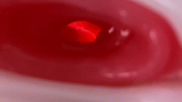 日本牌子飞机杯好用吗日系飞机杯，全网最低价，只要189，真香插图5