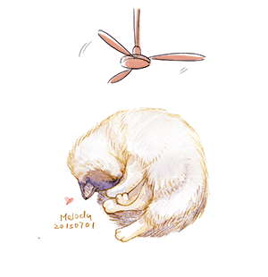 官网-广东顺德区量磁电气有限公司