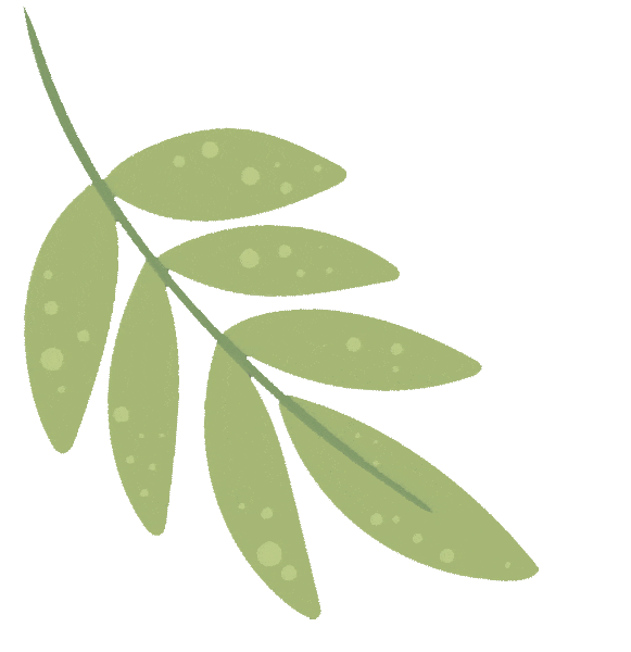 电子量血压怎么使用老年人在家如何正确使用电子血压计测量血压_https://www.jmylbn.com_新闻资讯_第10张