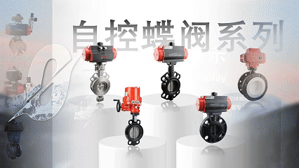 原特种设备高级检验师张幼德老师莅临法登阀门参观指导