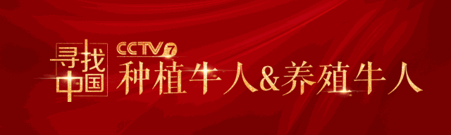 适合在农村创业项目 最适合农村小本创业的5个项目，但也要注意3点！