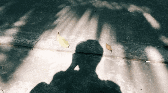 活该单身的男孩子