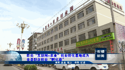 互联网农村创业项目 【新闻】田尖“互联网+农业”创业孵化基地成为全县群众创业“孵化器”