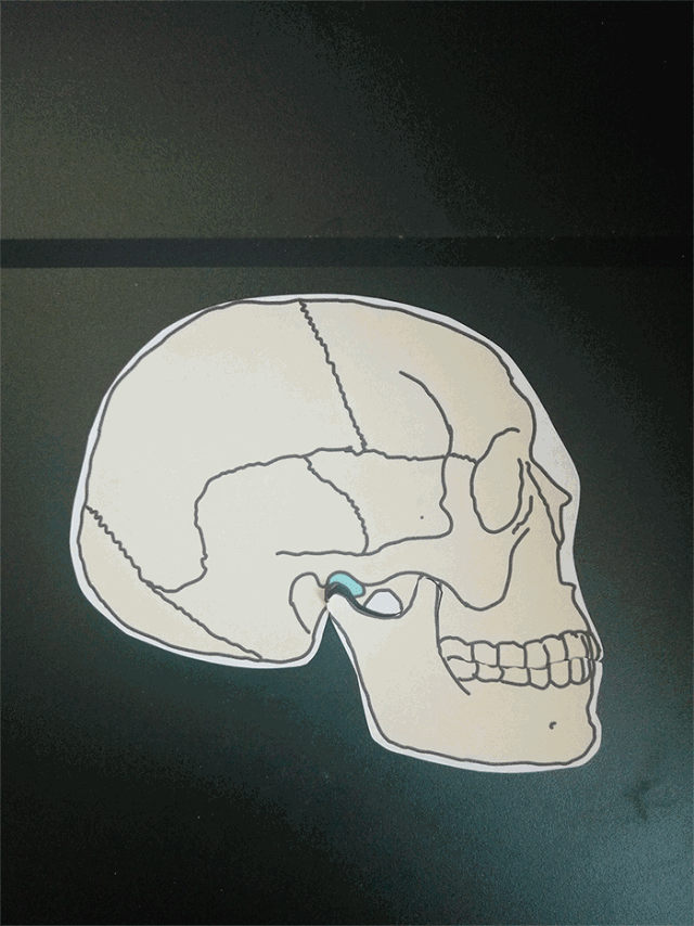 口腔灯为什么无影转载·科普｜为什么灯泡吞得进去，却拿不出来？_https://www.jmylbn.com_新闻资讯_第6张