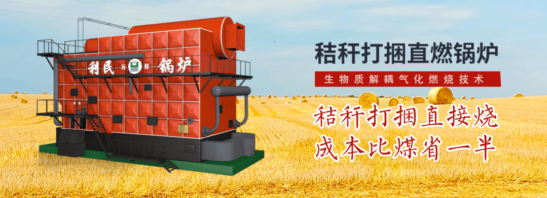 秸稈直燃鍋爐