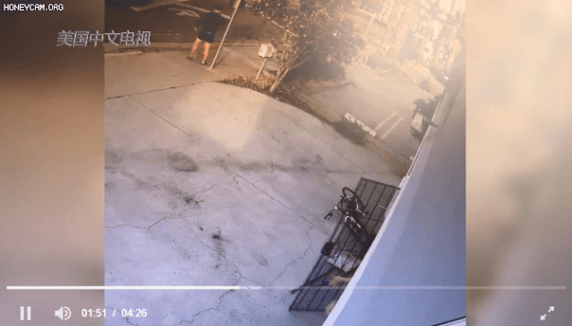 视频曝光！黑人砸店，惨遭华男拳王持“日本军刀”满街追打，老板娘还端出猎枪...（视频/组图） - 14
