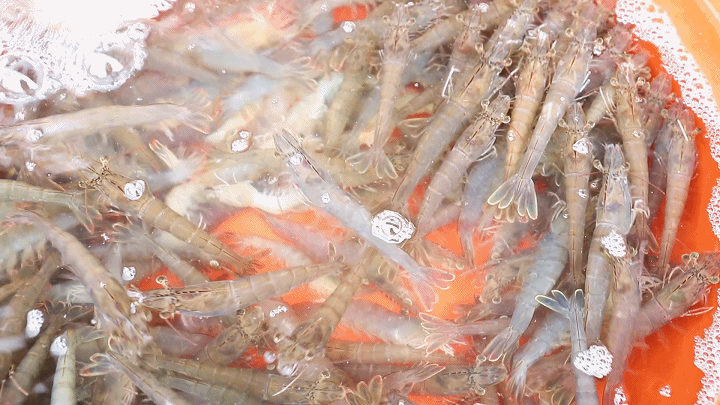 今天，他们与连江一见倾心！