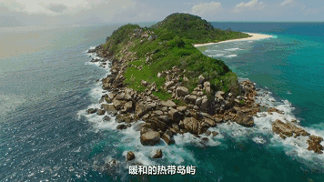 8部超高分BBC纪录片，孩子暑期延伸眼界必备