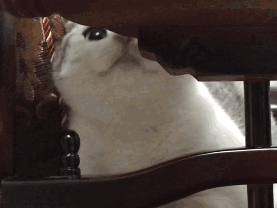 孩子备考舞蹈附中，什么才是有意义的重复练习？