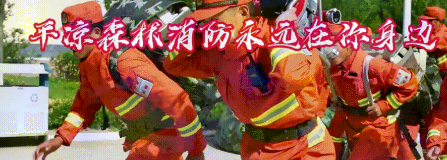 新蓝入列丨西峰区森林消防大队认真开展新消防员木支撑训练