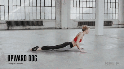 瑜伽上犬式和眼镜蛇式 区别到底在哪 亚洲运动导师联盟