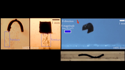 13.gif