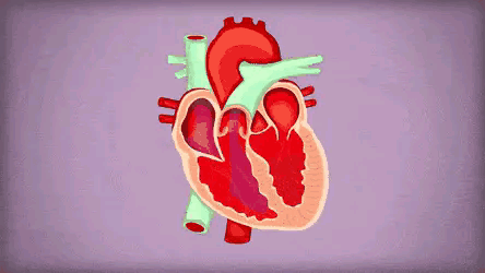 壞情緒讓心臟「變形」！你傷心時，心臟可能真在受傷 健康 第3張