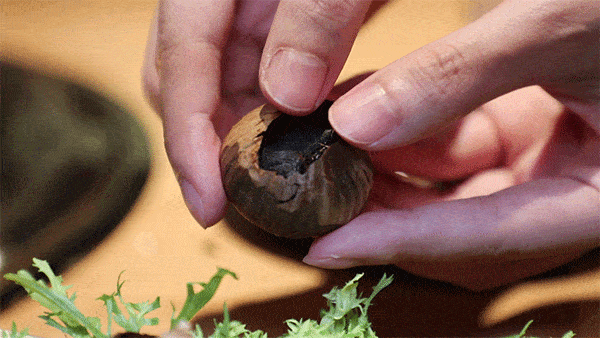 认真发问：我国哪里的人「口气」最大？