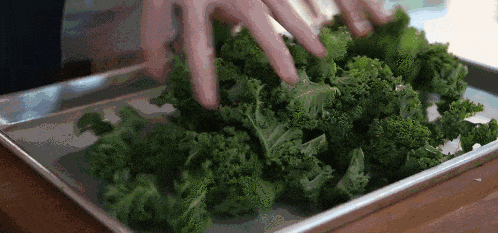 sontu在哪里【中医·小常识】网红蔬菜“羽衣甘蓝”，到底好在哪？_https://www.jmylbn.com_新闻资讯_第2张