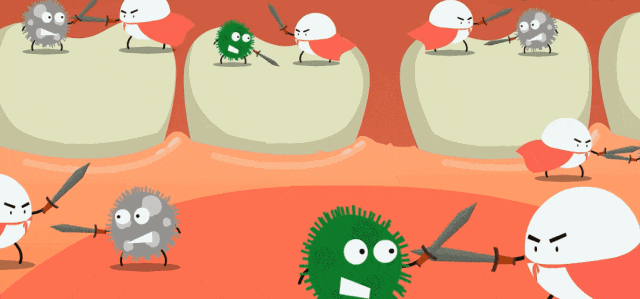 自人们出生起,细菌就逐渐在口腔中定居.