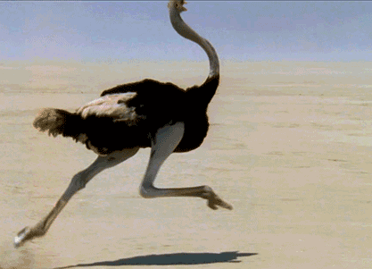 ΢��ͼƬ_20200531104518.gif
