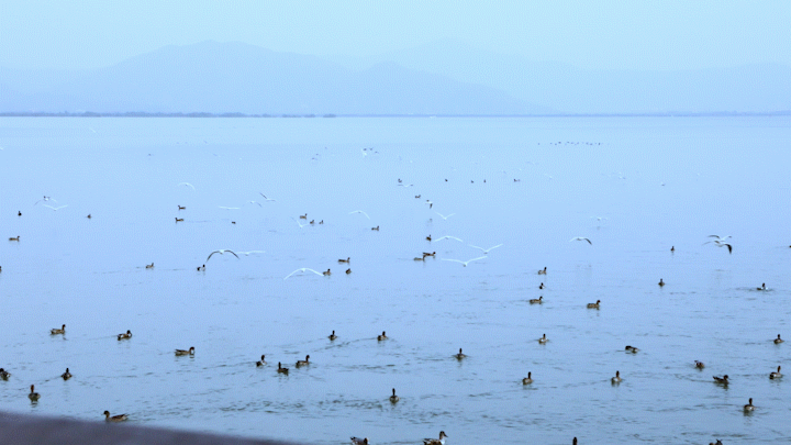 ȫ��ѣ�����9���붬����ء�ÿ����������