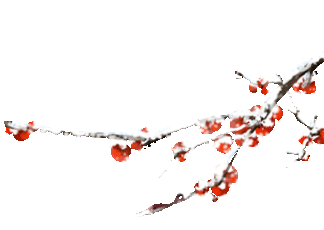 640_wx_fmt_gif_from_appmsg 1