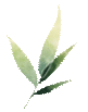 招工招聘人在附近_招工网_招工