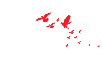 AED怎么自检专升本考前常见状态，及时自检并调整！_https://www.jmylbn.com_新闻资讯_第44张