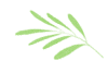 12月高考月历，这些重要高考事项需提前关注！-第1张图片-钻考网