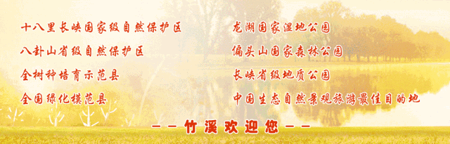 竹溪要情 自由微信 Freewechat