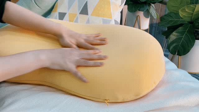 ��Ϊè��Ƥ�����Ҿ�Ȼ���˽�������һ