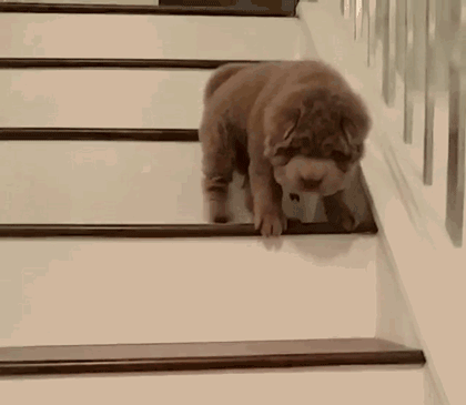 "我再来!""555……你也不抱抱人家""哎呦喂!我摔倒了……""哎哎!