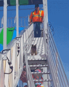 遛狗時請離這個地方遠點，不然... 寵物 第5張