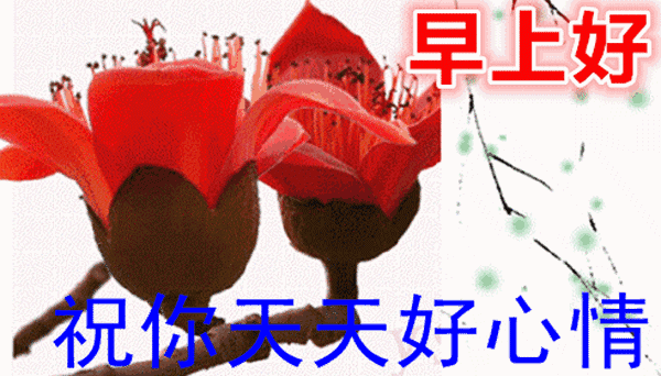 早上好的问候语短语 早上好的祝福温馨_安化黑茶