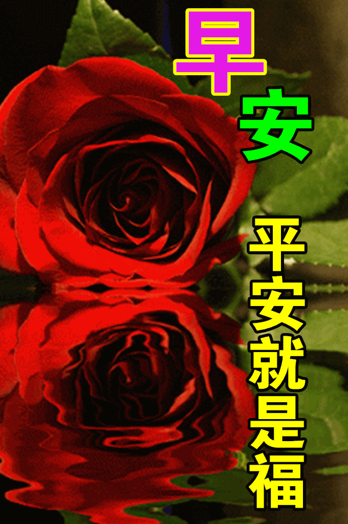 8张清新简约夏日早安早上好图片带祝福语好看的朋友圈早上好问候祝福语图片带字温馨 早安正能量语录句子 微信公众号文章