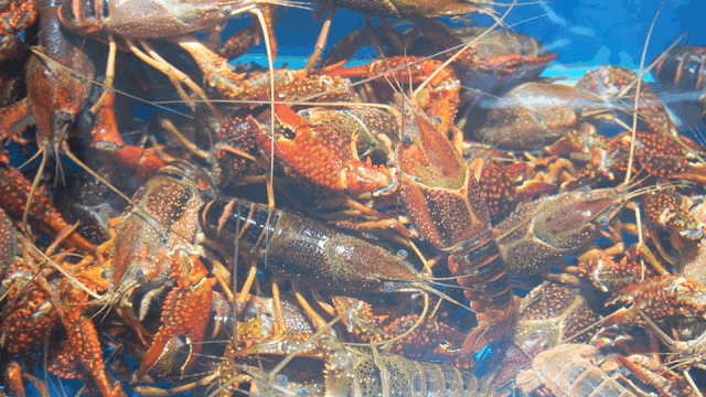 西安哪里卖床的多西安超全超省钱的29个批发市场，囤货必去！_https://www.jmylbn.com_新闻资讯_第35张