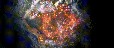 微信图片_20200303190321.gif