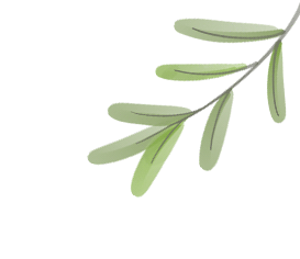 如何利用网络平台进行品牌推广-网络推广策略