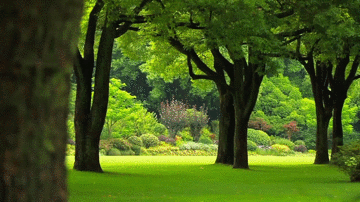 【预告】2024长三角度假医疗绿色健康高峰论坛—上海首长养疗团3天2夜（西郊国宾馆）