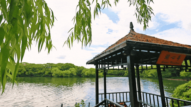 【预告】2024长三角度假医疗绿色健康高峰论坛—上海首长养疗团3天2夜（西郊国宾馆）