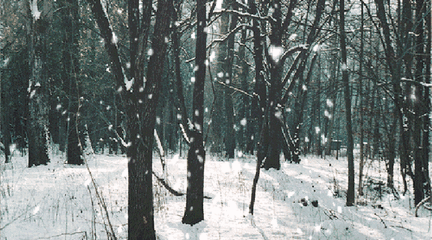 重视效率和思路问题，负责任地烧钱