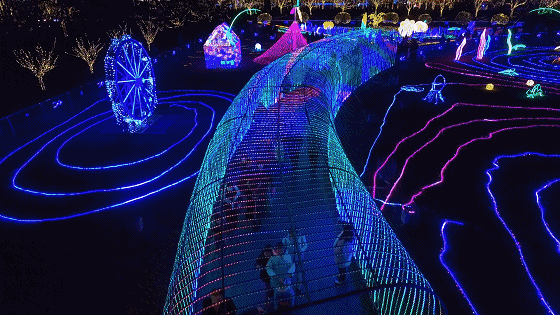 “燃动5觉”！2020葆蒂兰国际品牌文化盛典，中国南太湖一起点燃！