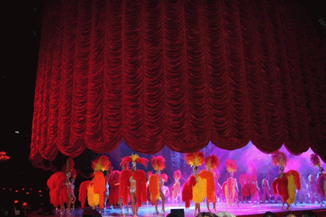 重磅官宣!2019葆蒂兰国际品牌文化盛典即将隆重启幕