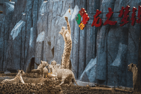 【剧透】2019葆蒂兰国际品牌文化盛典与您相约龙之梦钻石酒店！