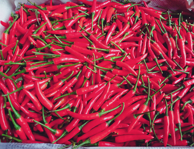 老板随性却不随意,每一样都想做到最好.连辣椒酱都是自制的呢!