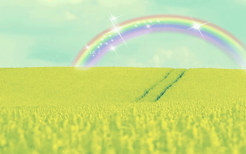 500_313gif 动态图 动图