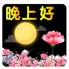 晚上好问候图片晚上好问候动态表情包 早安语录晚安语录 微信公众号文章阅读 Wemp