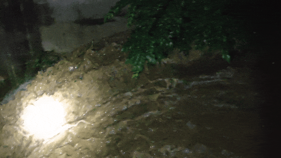 6月24日.gif