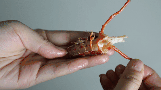 560_314gif 动态图 动图